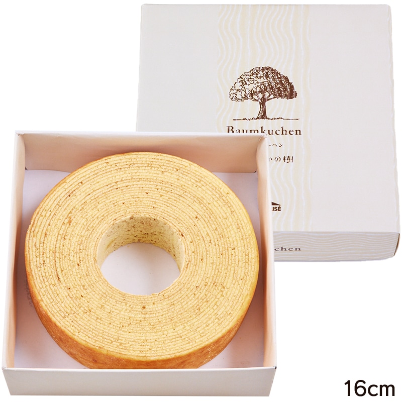 16cm